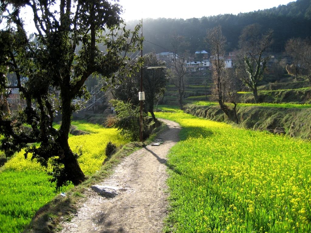Dharamkot, Himachal Pradesh
